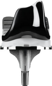 Stryker